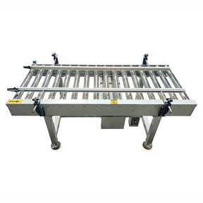 Case Packing Conveyor